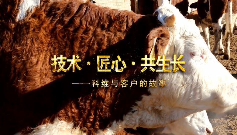 ��άũ������Ƭ